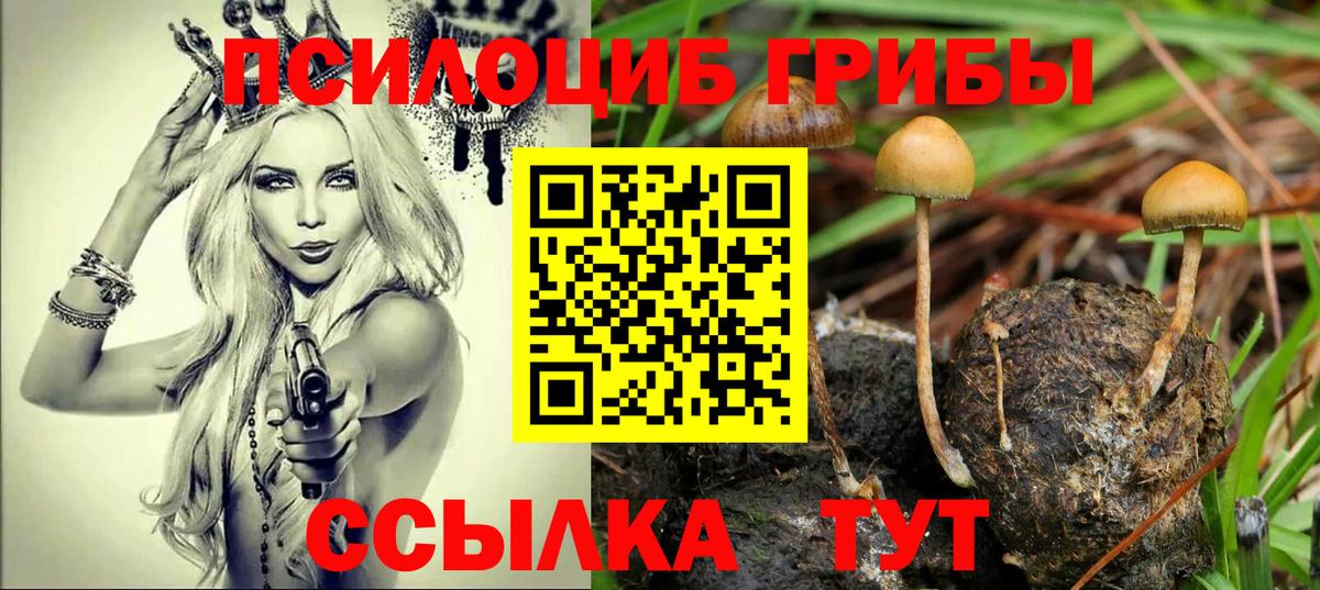 Галлюциногенные грибы Magic Shrooms Урус-Мартан