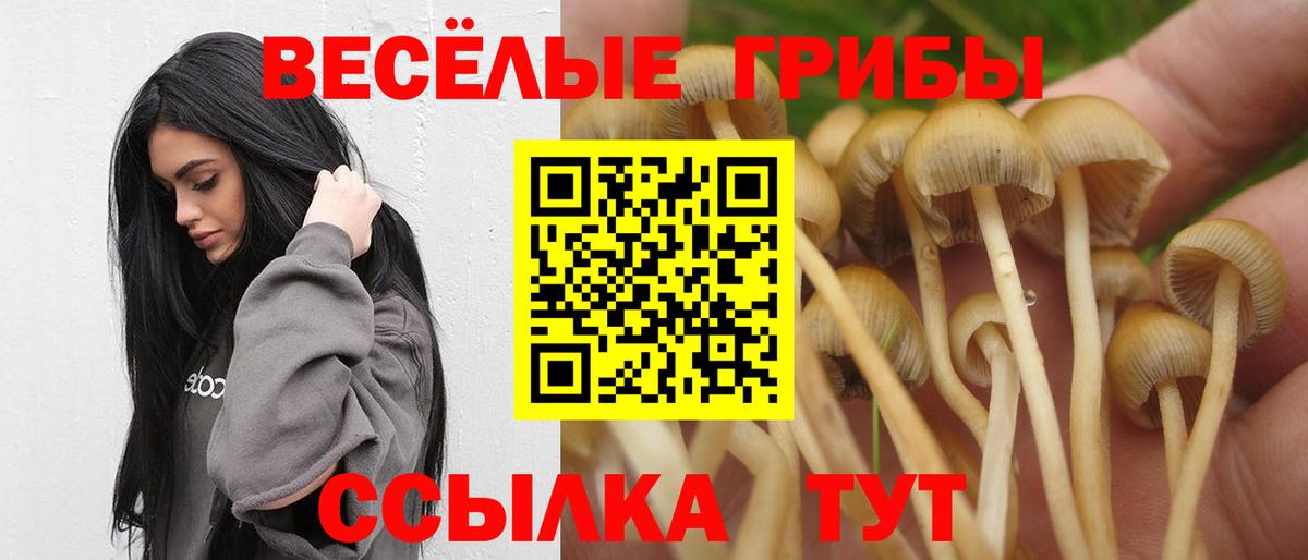 Галлюциногенные грибы мухоморы  Вход с VPN  Галлюциногенные грибы Psilocybe  Урус-Мартан 